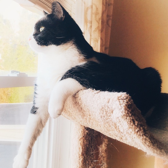 Meet Your Seller :) - Picture 8 of 11